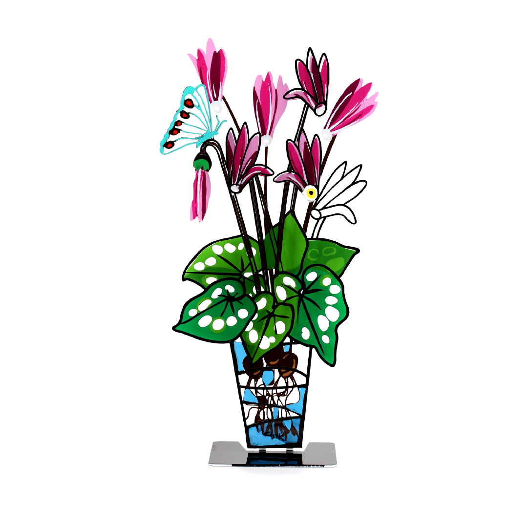 Cyclamen Potted Plant