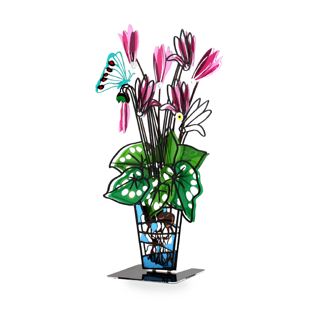 Cyclamen Potted Plant