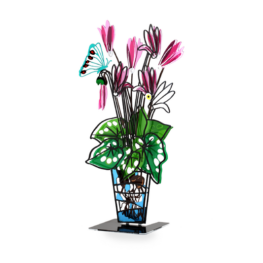 Cyclamen Potted Plant