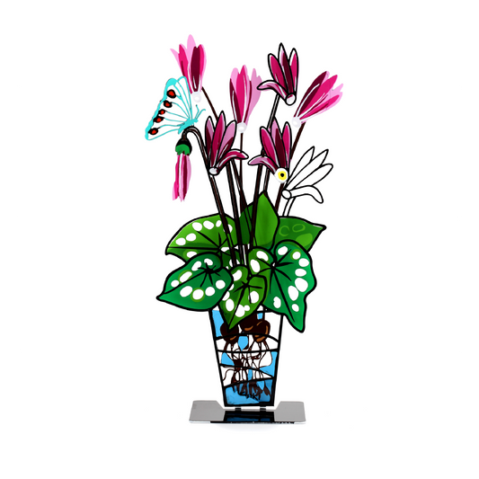 Cyclamen Potted Plant