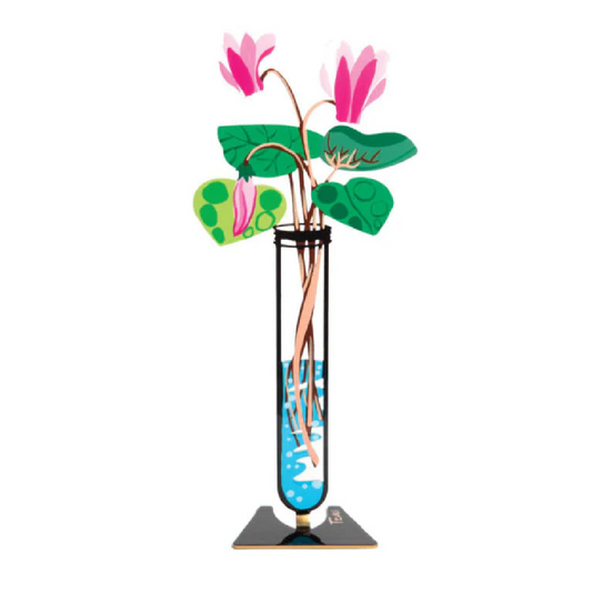 Cyclamen - Flower Tube