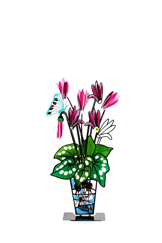 Cyclamen Potted Plant