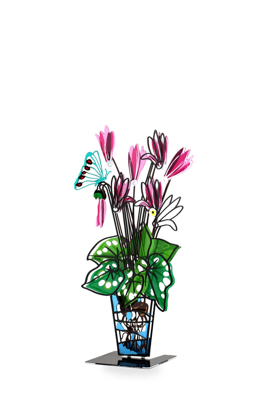 Cyclamen Potted Plant