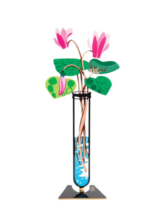 Cyclamen - Flower Tube